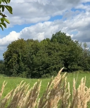 Sójka i kawka! Powodzenia!