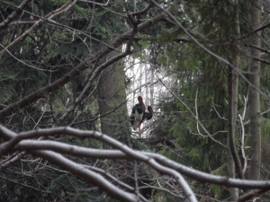 "Wszędzie dobrze ale w domu najlepiej"